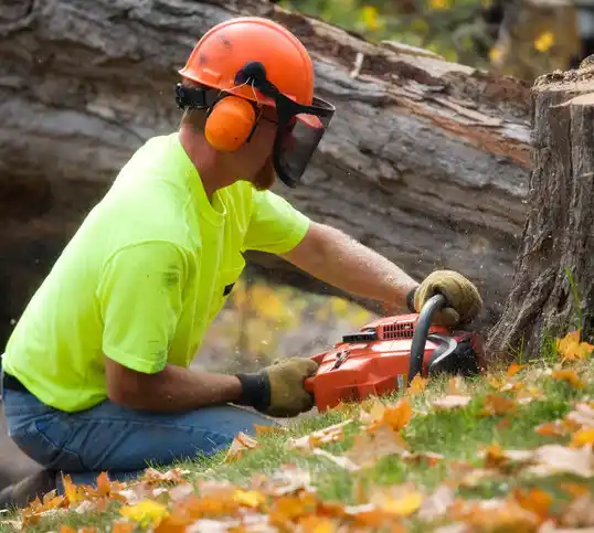 tree services Lafitte